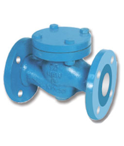 Liftup Check Valve